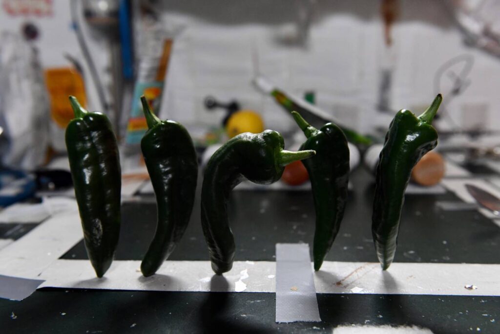 Chiles espaciales
