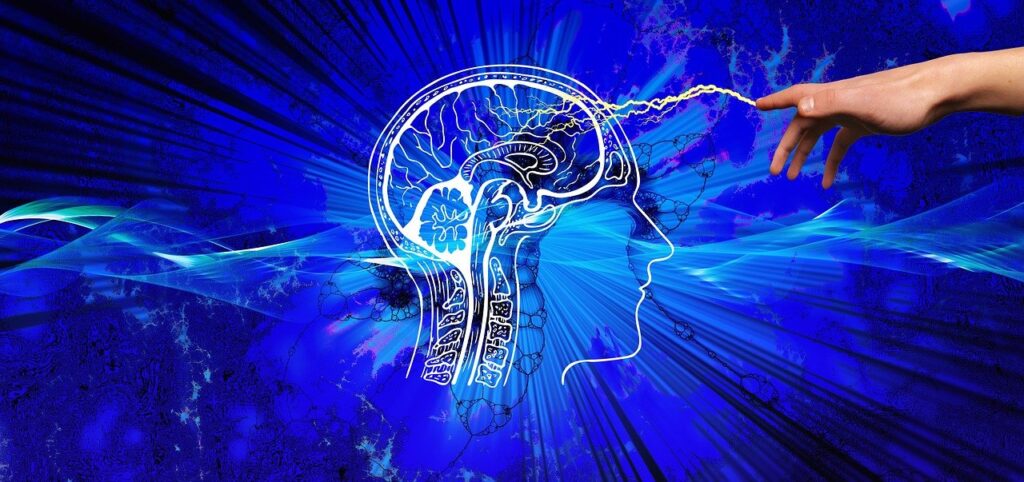 Cerebro