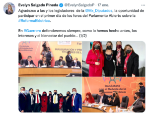 Evelyn Salgado Pineda compartió en twitter su participación en el Parlamento Abierto.