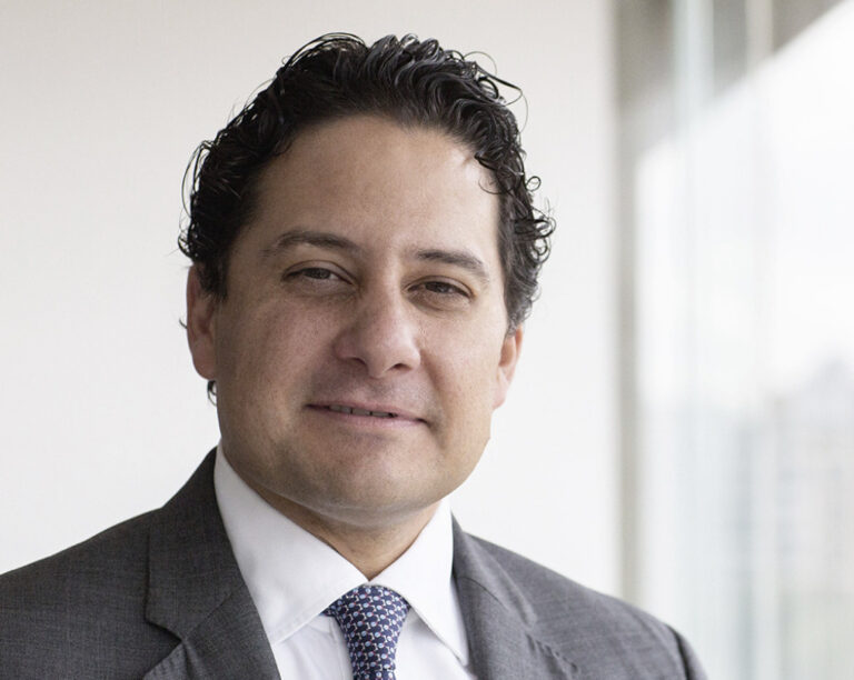 Luis Doporto comentó que las proyecciones planteadas por organismos internacionales destacan claramente el potencial de las exportaciones de aguacate mexicanas.