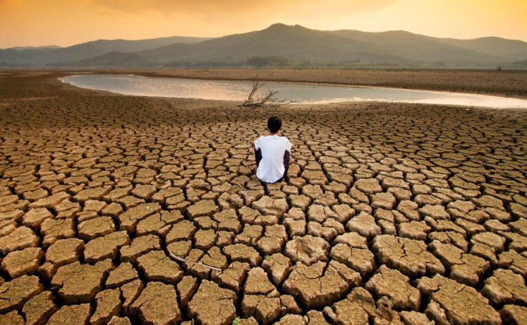 Daniel Madariaga Barrilado