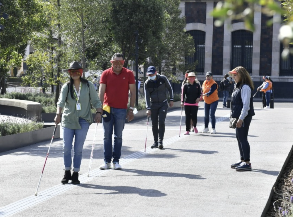 Fernanda Castillo Cuevas habló sobre los restos de las personas con discapacidad visual.