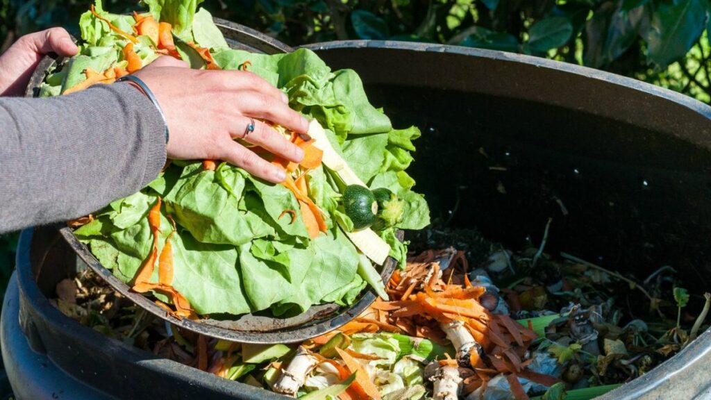 La Cosmopolitana guarda un alto compromiso con la alimentación sustentable.