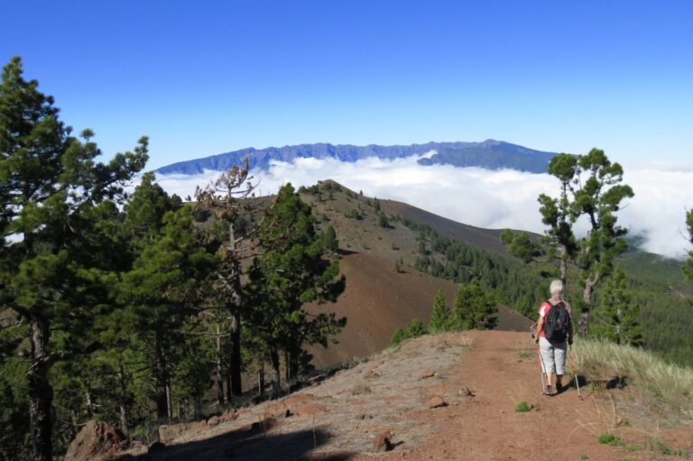 Daniel Madariaga Barrilado