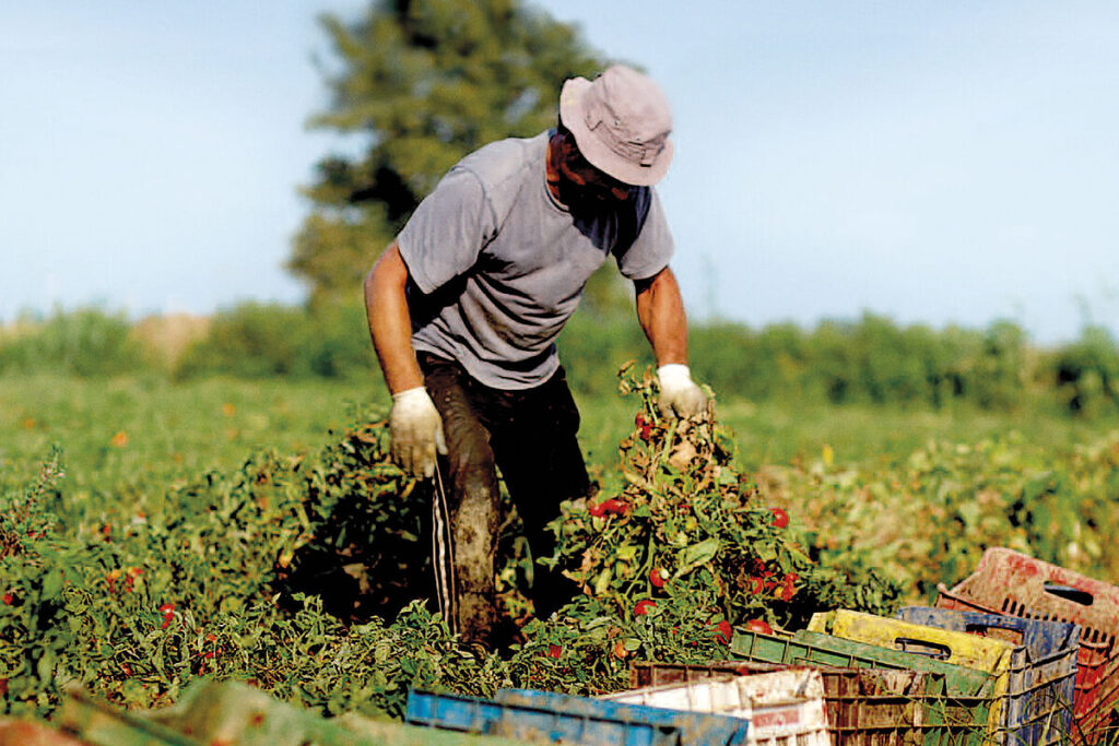 Daniel Madariaga Barrilado: MABO y Agricultura Regenerativa, alimentos sostenibles