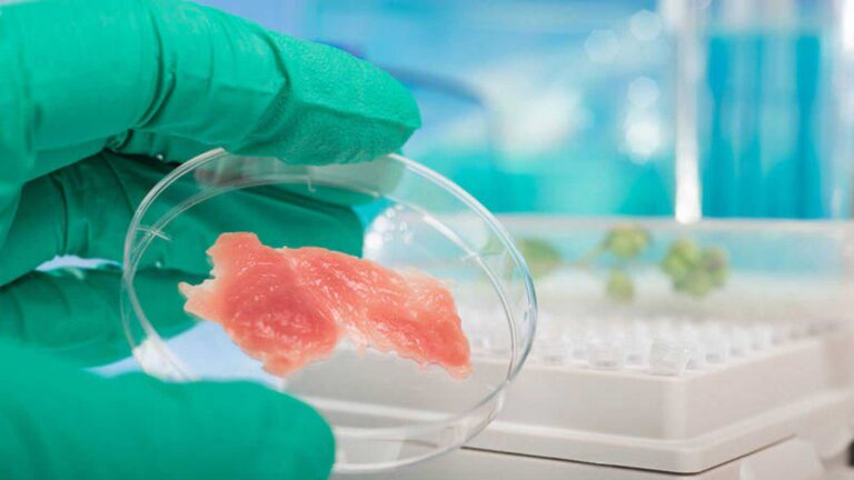 Carne cultivada puede frenar el calentamiento global