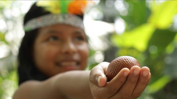 Grupo AJE: Comparte la iniciativa “Súperfrutos que conservan bosques”