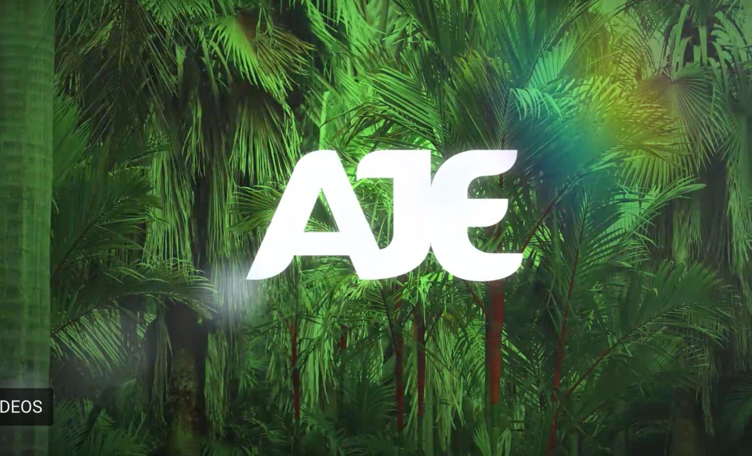 AJEMEX ha sabido diseñar una estrategia efectiva sustentable | Vistazo