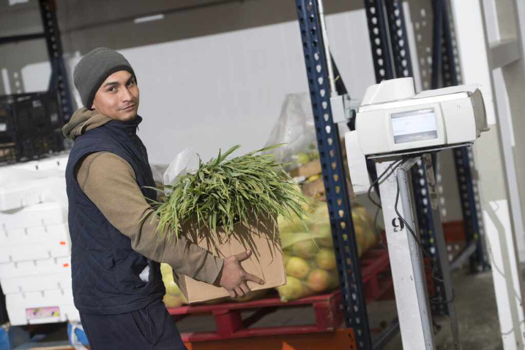 Corporativo Kosmos: Ha trabajado en la conformación de una Plataforma de Sustentabilidad