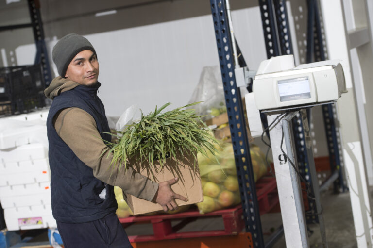 Corporativo Kosmos: Ha trabajado en la conformación de una Plataforma de Sustentabilidad