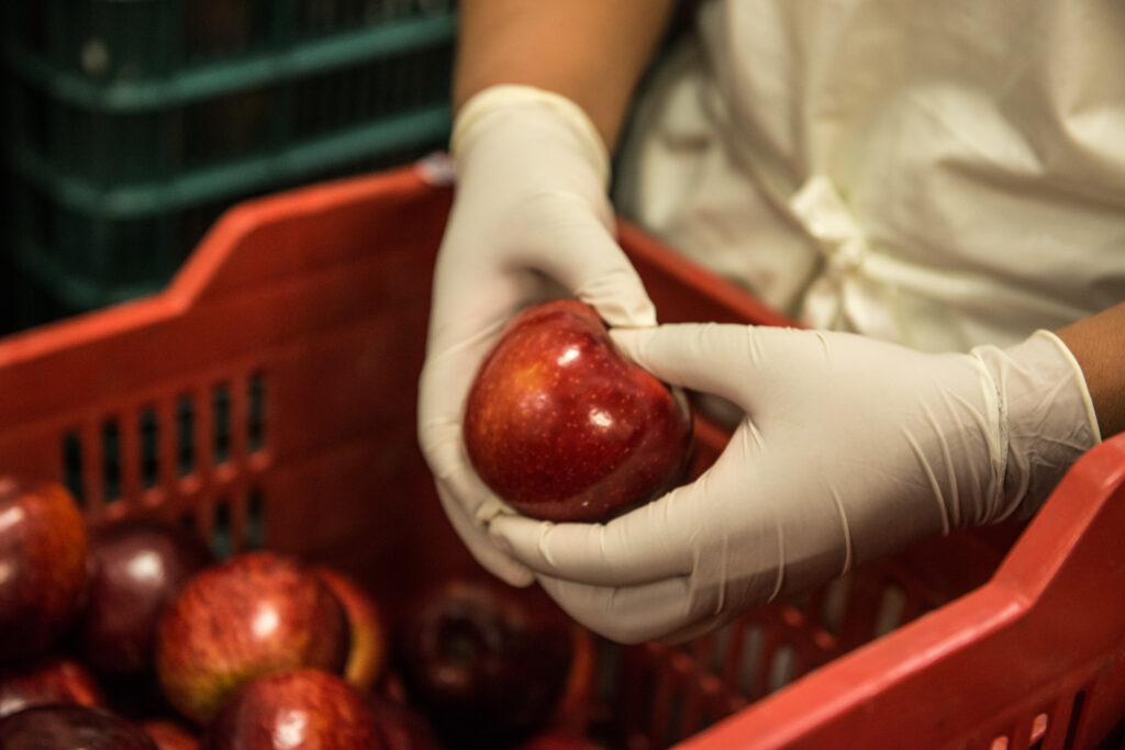 Corporativo Kosmos promueve reducir la huella ecológica