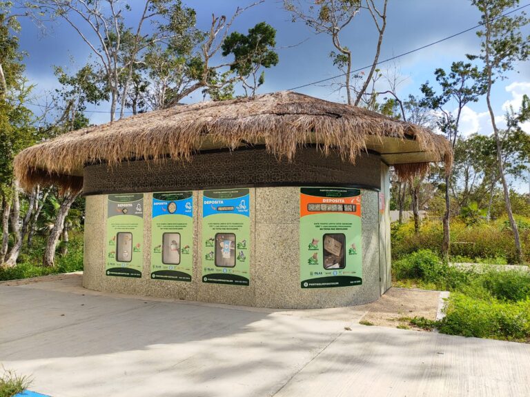 AJEMEX y la Educación Ambiental