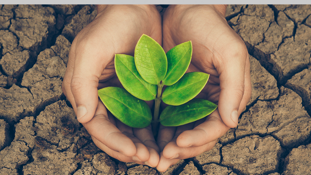 La RSE como un pilar clave a través de Fundación Pablo Landsmanas y empresas como La Cosmopolitana