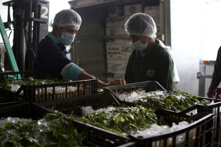 La Cosmopolitana: Limpieza en seco, una alternativa para la industria de alimentos