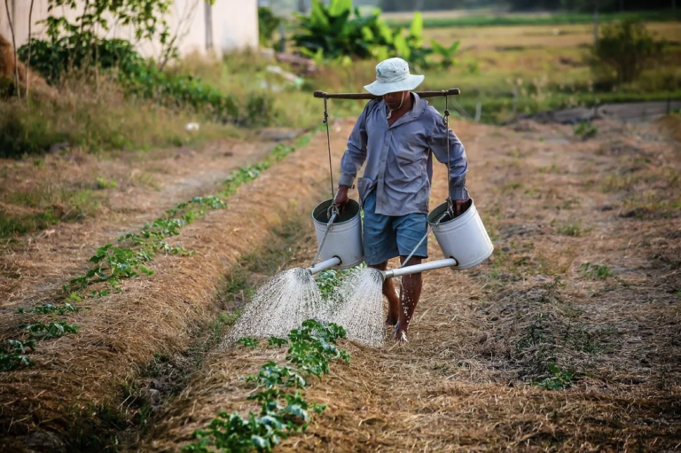 El empresario mexicano Luis Doporto Alejandre identifica oportunidades en la integración de tecnología como el blockchain a sectores como el de la agricultura.