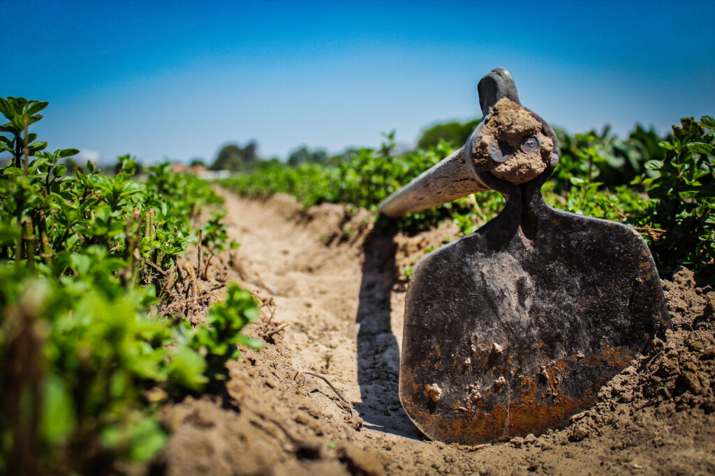 Sostenibilidad agroalimentaria transforma panorama financiero: Luis Doporto Alejandre