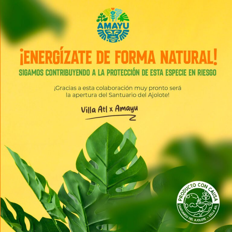 Bio Amayu protege y preserva Ajolote del Altiplano