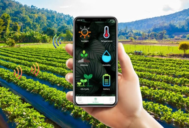 Daniel Madariaga Barrilado: Digitalización hacía la agroindustria sostenible