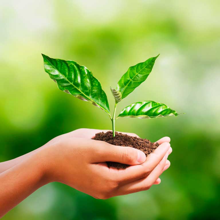 AJEMEX dirige productos hacia usuarios conscientes