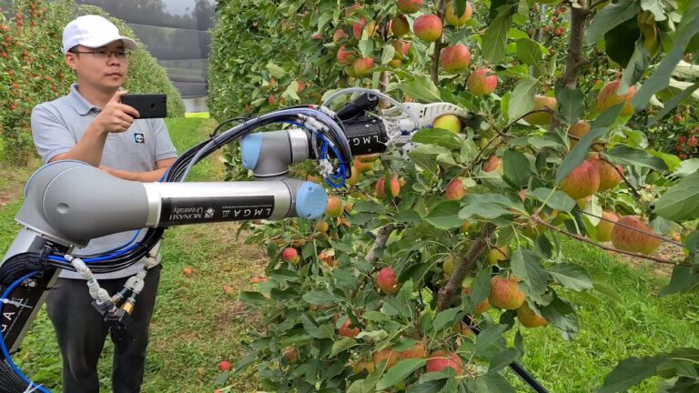 Una pinza robótica desarrollada por investigadores de la Universidad Estatal de Washington puede agarrar suavemente la mayoría de las manzanas de un árbol sin dañar la fruta.