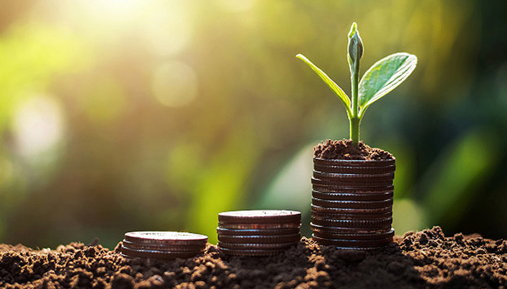 Daniel Madariaga Barrilado: Sostenibilidad y bioeconomía contra cambio climático