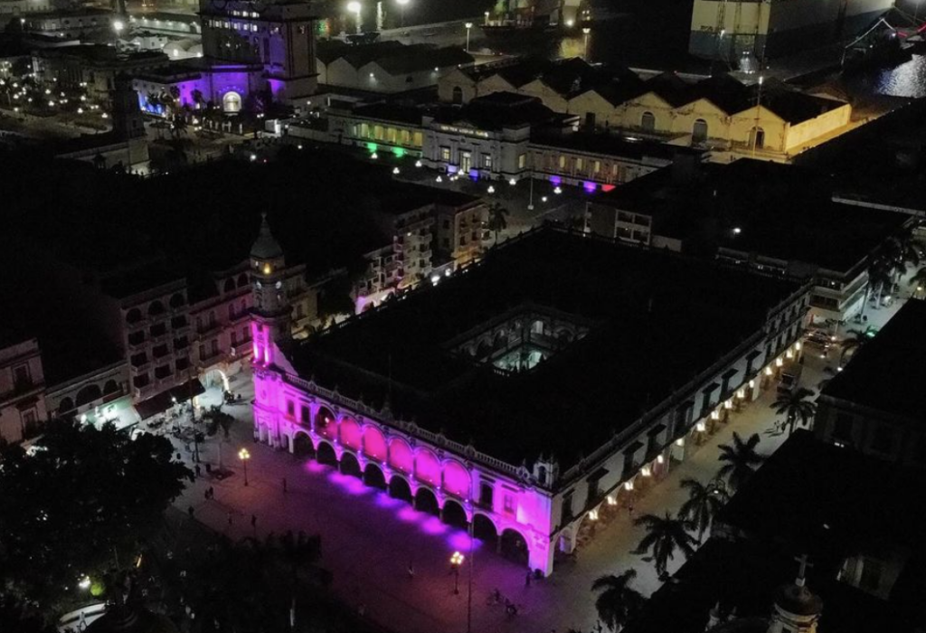 Contra el cáncer de mama, Patricia Lobeira Rodríguez pinta de rosa el Palacio Municipal de Veracruz