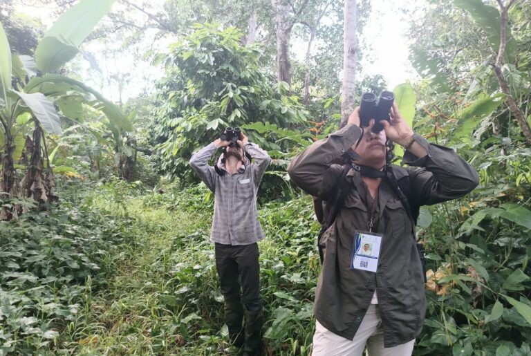 AJEMEX y COBIUS AC hacen frente a la protección de monos aulladores