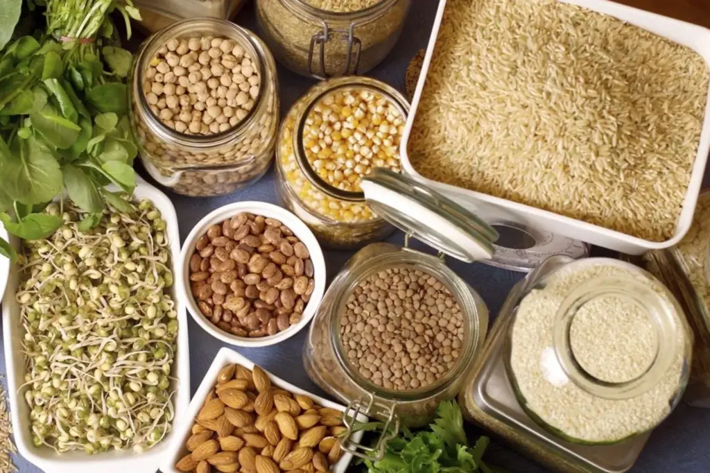 Proteína alternativa genera diversos beneficios: Corporativo Kosmos