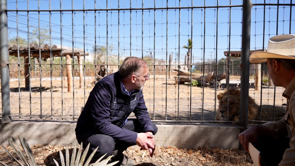 Inspecciona Marco Del Prete calidad de la fauna en Parque Zoológico Wameru