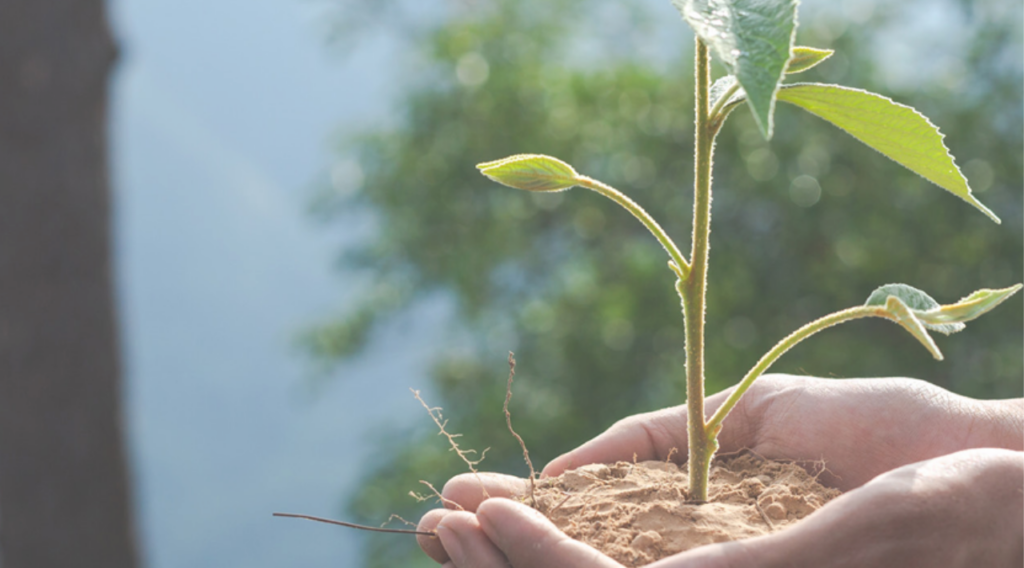 Alfredo Gadsden promueve modelos sostenibles ante cambio climático