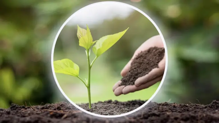 Promueve Salomón Issa Tafich bienestar y sostenibilidad regional