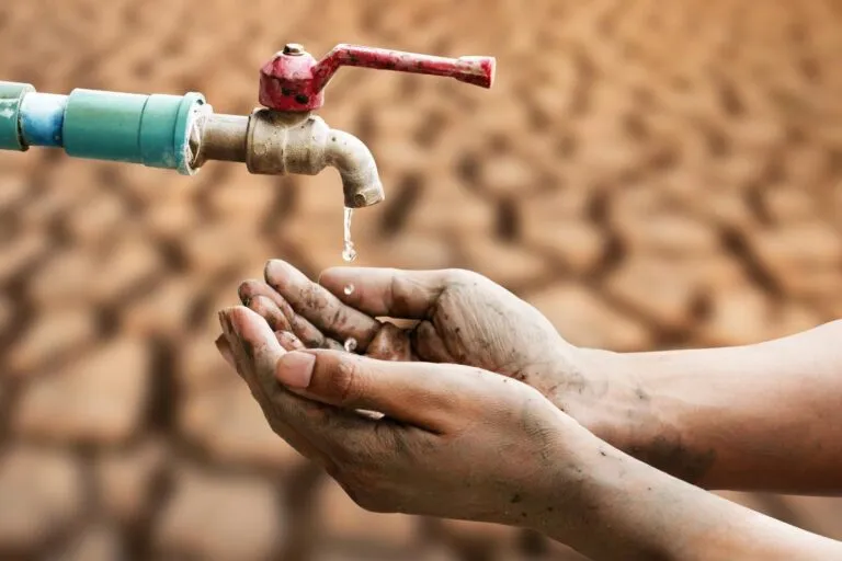 Ernesto Mizrahi destaca gestión hídrica en arquitectura sustentable