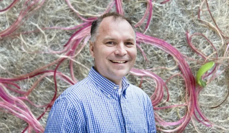 Arquitectura viva: edificios hechos de hongos podrían ser el futuro sostenible