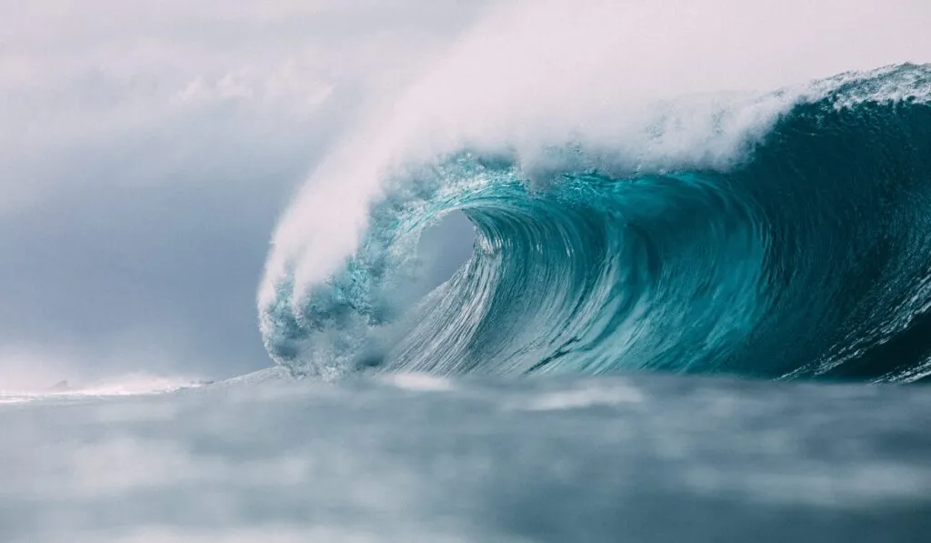 GUARDIAN: la tecnología de la NASA que detectó un tsunami en tiempo real