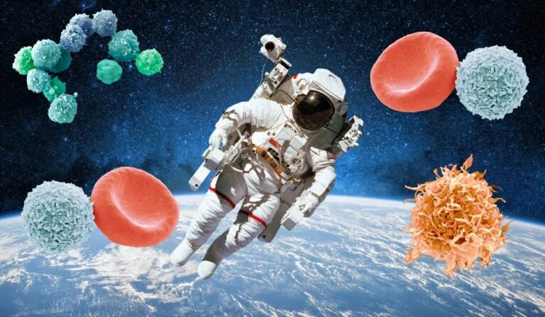 Viajar al espacio acelera el envejecimiento de las células madre, revela estudio