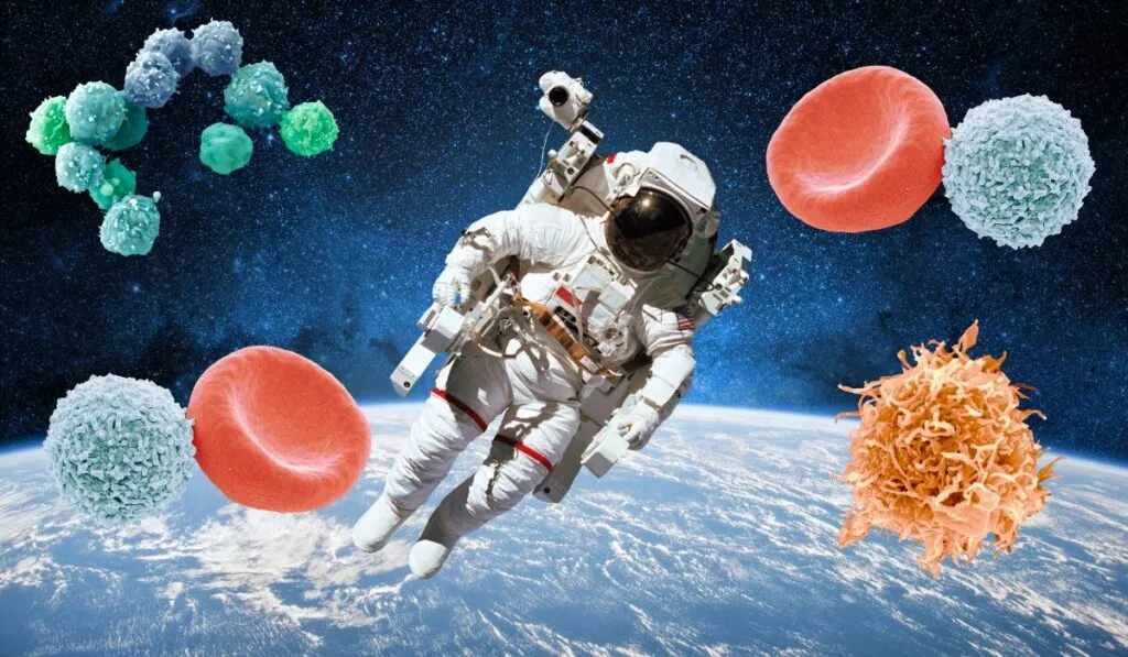 Viajar al espacio acelera el envejecimiento de las células madre, revela estudio