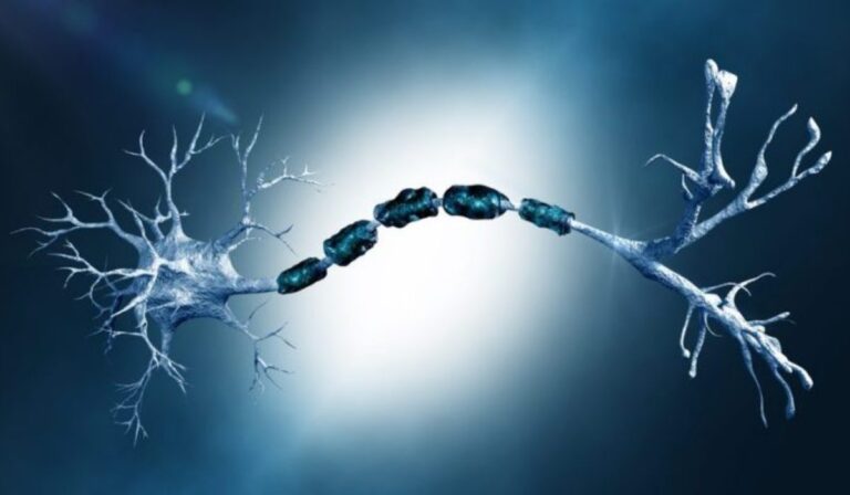 Crean neuronas artificiales que imitan a las humanas y consumen casi nada de energía