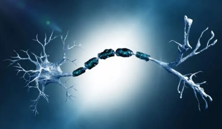 Crean neuronas artificiales que imitan a las humanas y consumen casi nada de energía