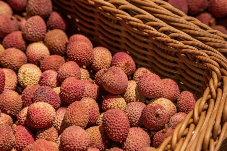 Grupo AJE y sus superfrutos que conservan bosques.