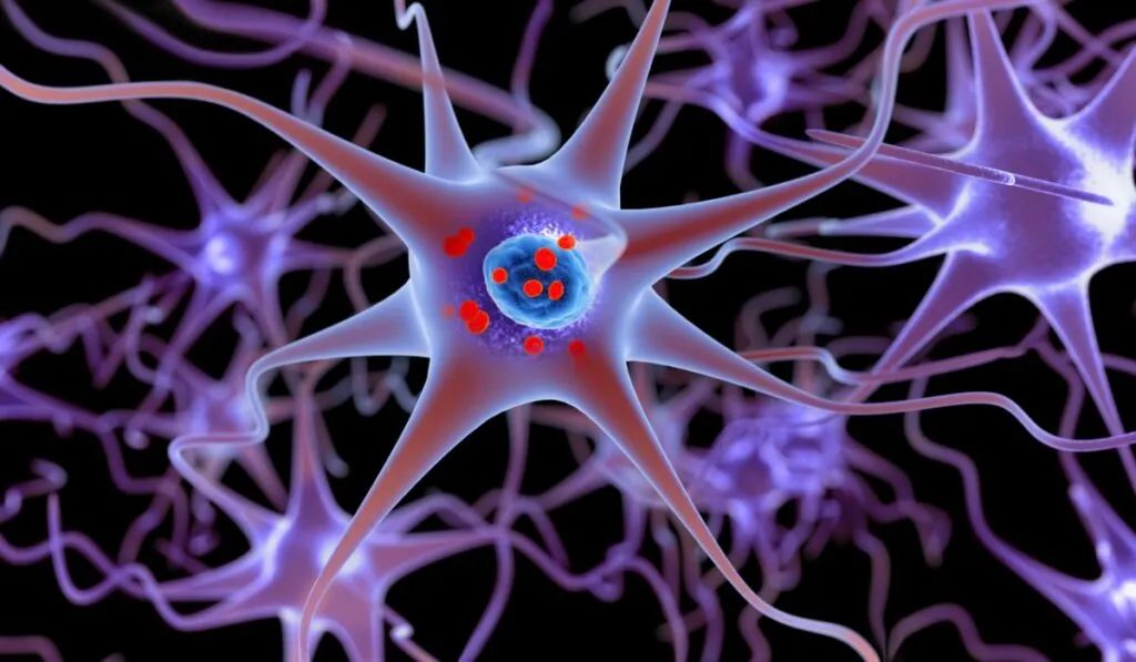 Científicos logran ver por primera vez el origen del párkinson en el cerebro humano
