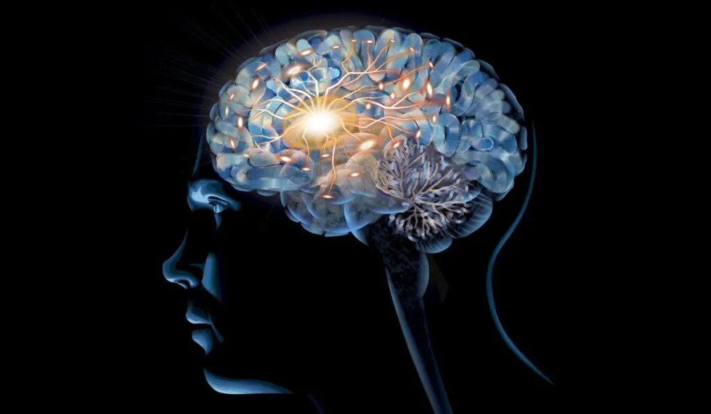 Científicos descubren un sorprendente “séptimo sentido” humano: el tacto remoto