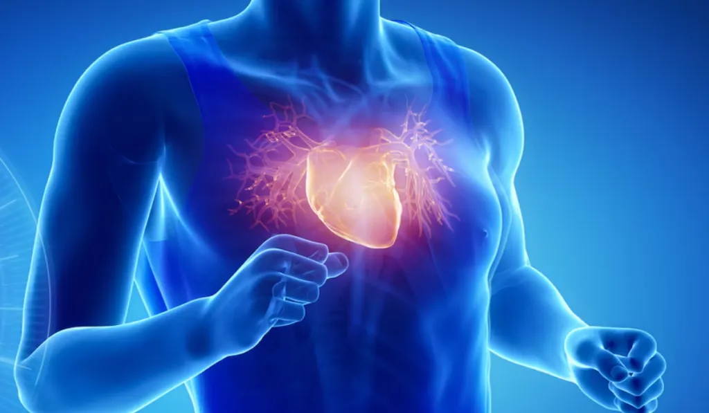 Científicos argentinos crean un marcapasos que imita el latido humano y detecta fibrosis a tiempo