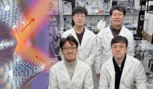 De la magia a la ciencia: crean un material inspirado en Harry Potter que vuelve invisibles los objetos a radares