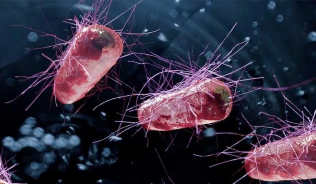 Syn57: la bacteria creada desde cero que desafía la idea de lo que significa estar vivo