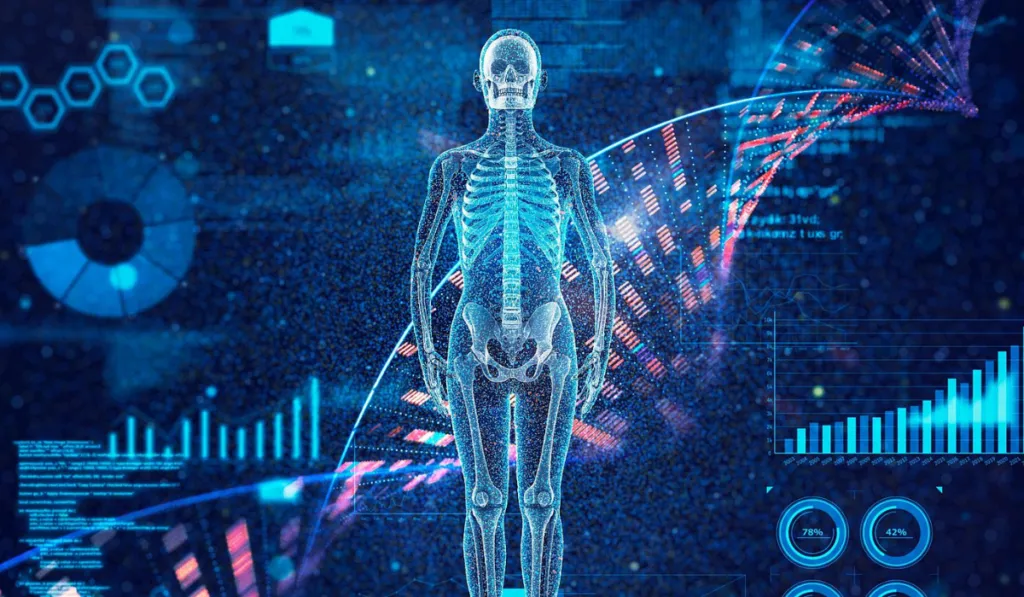 El “atlas celular del envejecimiento” revela qué órganos empiezan a deteriorarse antes y abre la puerta a nuevas terapias