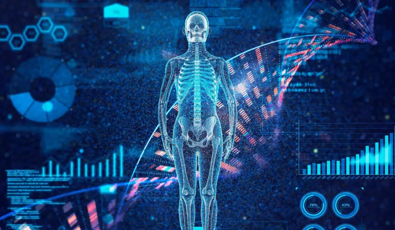 El “atlas celular del envejecimiento” revela qué órganos empiezan a deteriorarse antes y abre la puerta a nuevas terapias