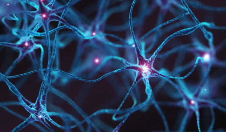 Ensayo de rejuvenecimiento humano está por comenzar: la terapia genética que busca “rebobinar” las células