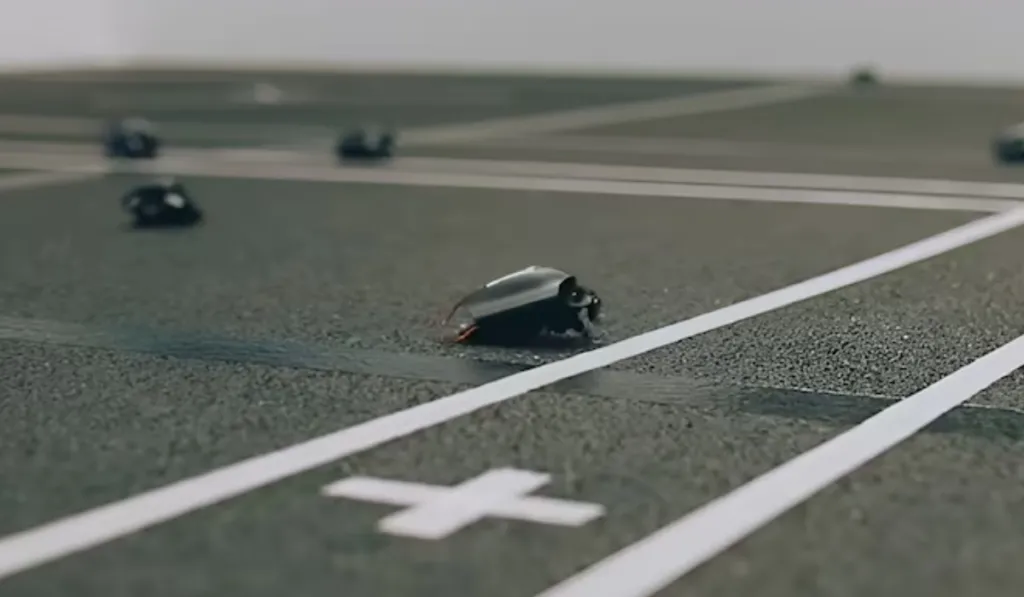 Cucarachas cyborg en el campo militar: la nueva tecnología que ya usan fuerzas de la OTAN