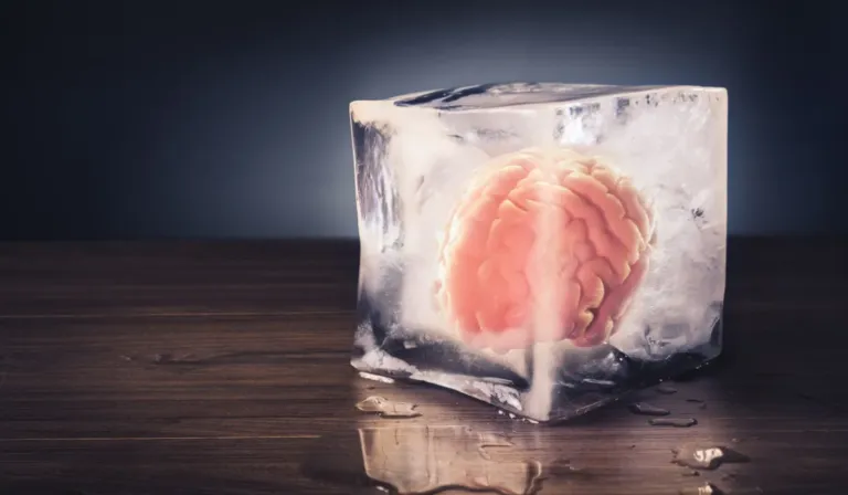 Congelar el cerebro ya no es ficción: científicos logran “revivir” señales neuronales