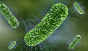 De basura a medicina: crean bacteria que convierte plástico en tratamiento para el párkinson